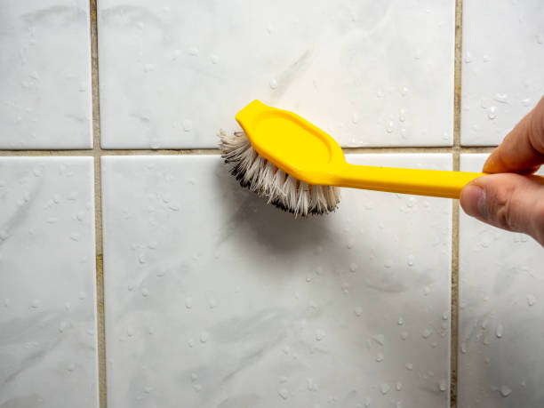 Best Mold Testing  in Bellevue, IL